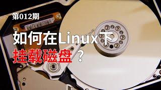 【雕虫小技】 如何在Linux下挂载U盘或者移动硬盘?