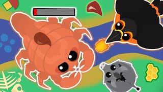 LAVA TOUCAN KILLS SCORPION in MOPE.IO // FUNNY MOMENTS COMPILATION