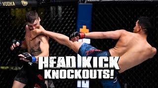 NASTIEST Head Kick Knockouts in UFC History 2024