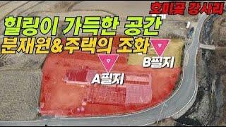 [매물번호317]#포항부동산 포항 토지 포항 바닷가 토지 전망 매매 펜션 최고 좋은 시골 귀농 귀촌 촌집 시골집 좋은 땅 농어촌 민박 농가형 풀빌라 신축 바닷가 절벽 영구 조망 뷰