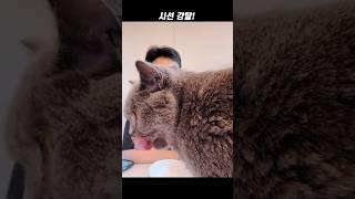 시선 강탈! #한동훈
