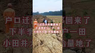 戶口遷出去的都回來了，下半季實行一戶一田，小田並大田，開始量地了！#農村土地#分地#記錄農村生活