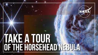 Take a Tour of the Horsehead Nebula