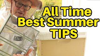 Beekeeping: All Time Favorite Summer Tips