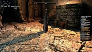 #8 Skyrim Requiem +Mods (маг)