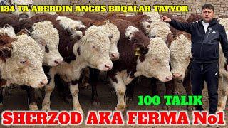 SHERZOD AKA ARGINAL 280 TA GREFORD BUQALAR KELDI. 184 TA ANGUS BUQALAR 109 TA DAVOMI BOR..