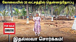 Coconut #farmland for #sale in #coimbatore #kinathukadavu #pollachi On Road 8825631409