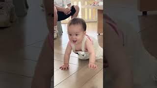 正是喜欢在人群中穿梭的年纪#人类幼崽我先rua了 #人类幼崽 #萌娃 #人类幼崽迷惑行为大赏 #小宝宝摆摆