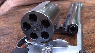 Is This Too Much Gun? | 460 S&W Magnum
