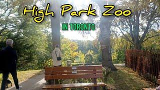 High Park Zoo in Toronto #family#fun #thanksgiving#naturelovers#animals #highpark#zoo#toronto