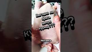 Выгодно ли брать курицу целиком?#курица #пятерочка #обзореды #обзорпродуктов