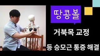 땅콩볼을 이용한 거북목 교정과 승모근통증 등통증 해결 운동(Duoball for Forward Head)