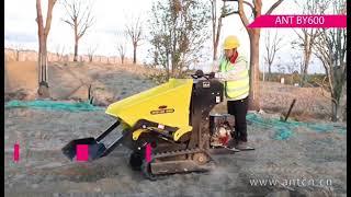 BY600 ant mini dumper