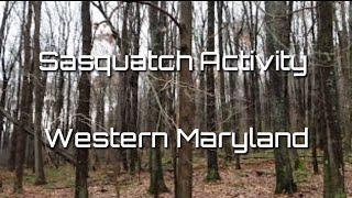 Sasquatch Activity Western Maryland