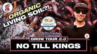 Unlocking the Secrets of Living Soil & Rare Strains: No Till Kings