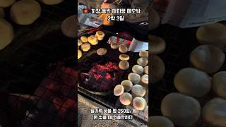 베트남 하장 동반 마피렝 메오박 2박 3일 오토바이 여행