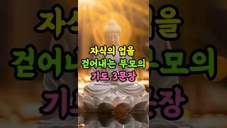 자식의 업을 걷어내는 부모의 기도 3문장 | 불교지혜 | 업장소멸 | 자녀기도 #명언 #자기수행 #인생조언