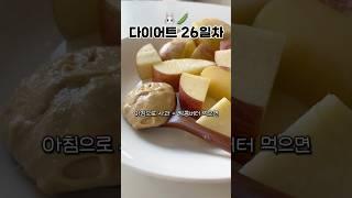 혈당실험 결과 미쳤다...!! 사과+땅콩버터  #혈당실험 #다이어트식단 #다이어트