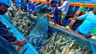 Today's Amazing fishing!We Caught Tons Of Big Black Pomfret Fish &Collector Came With Us For Fishing