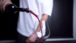 Vintorio Wine Aerator Pourer - Premium Aerating Pourer and Decanter Spout