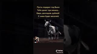 Год быка