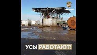 Усы работают!