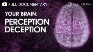 Your Brain: Perception Deception | Full Documentary | NOVA | PBS