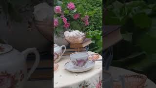 Дачный сезон открыт!