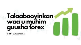 Talaabooyinkan waa u muhim guusha forex!