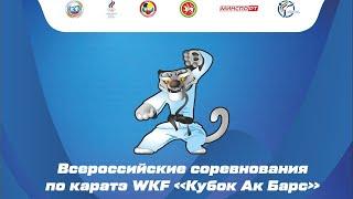 ВС "Кубок Ак Барс", 10 апреля 2021г., Татами5