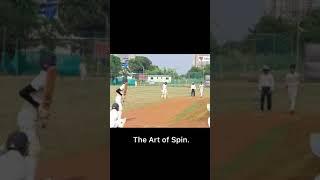 spinners aren't easy to play #shorts  #spin #wickets #cricketgraph #cricketvideos