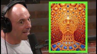 Joe Rogan's DMT Experiences