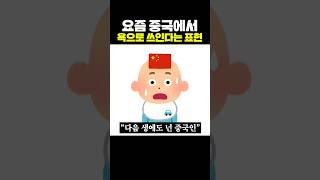 요즘 중국에서 욕으로 쓰인다는 표현