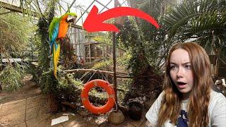 We Found An Abandoned Zoo With Animals Left Inside!!