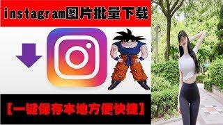 【宅男科技】●instagram.照片视频批量下载●方便快捷一键保存本地