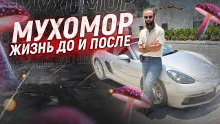 Мухомор! Твой лучший момент жизни сейчас.