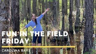 Fun in the Field Friday: Carolina Bays