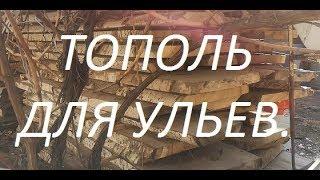 Материал для ульев - тополь.