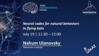 Neural codes for natural behaviors in flying bats. NAHUM ULANOVSKY