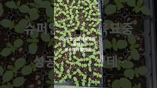 2024년 5월 12일