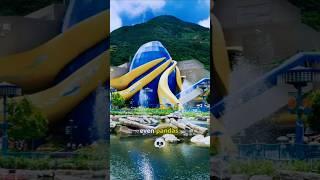 Dive into the Excitement of Ocean Park! #ThemePark #HongKong #OceanPark