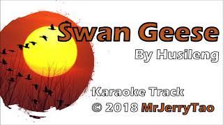 Swan Geese by Husileng - Instrumental recording © 2018 MrJerryTAO