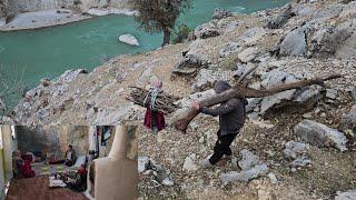 Nomadic Life: Nomadic Life in Winter: Gathering Firewood in the Mountains for a Nomadic Home️️