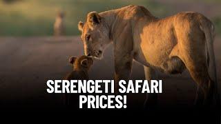 The Truth About Serengeti Safari Prices: Is It Worth Your Budget?