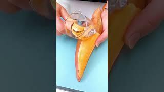 Paring knife with storage box #homefinds #homehacks #homesweethome