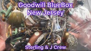 Goodwill BlueBox 5 Pound New Jersey Jewelry Bag Sterling Silver J Crew #jewelry #goodwill #unboxing