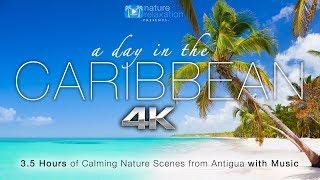 "A Day in the Caribbean" 4K 3.5 HR Nature Relaxation™ Ambient Film + Calming Music