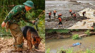 Single Dad , due to the impact of super typhoon Yagi, I was swept away 100m by flood water.