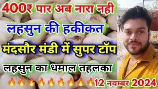 मंदसौर मंडी का सुपर टॉप क्वालिटी लहसुन का भाव | Aaj Ka lahsun Bhav | Super Best Quality Garlic Rate