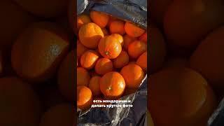 В Сочи зимой , а лучше на Новый год  Развлечений полно , погода классная, природа богатая  #сочи